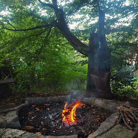 بيت ضيافة Sielsko Anielsko